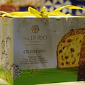 "Cilentano", la magia di un territorio meraviglioso racchiuso nel nostro Panettone artigianale