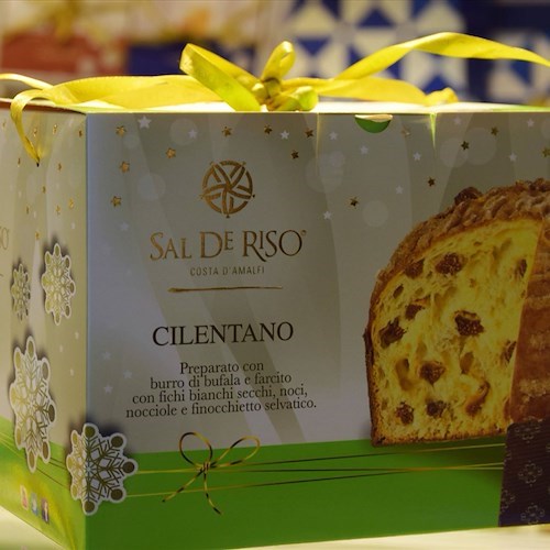 "Cilentano", la magia di un territorio meraviglioso racchiuso nel nostro Panettone artigianale