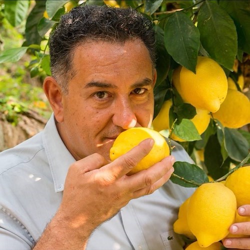 E' finalmente arrivato "Profumo di Limone"