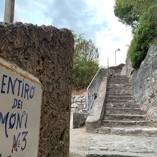 Il limone incontra il caffè lungo il "Sentiero dei Limoni" nasce un nuovo capolavoro di dolcezza firmato Sal De Riso: “Il Sentiero delle Formichelle”