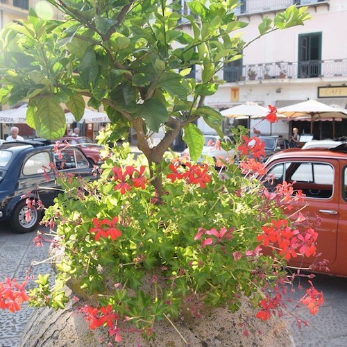 L'amore per le cose buone e genuine: il nostro gelato apprezzato dagli equipaggi francesi in Fiat 500