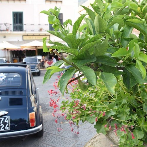 L'amore per le cose buone e genuine: il nostro gelato apprezzato dagli equipaggi francesi in Fiat 500