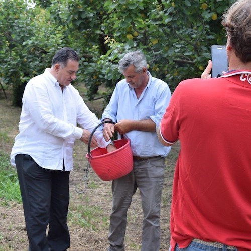 La nostra terra è uno scrigno di biodiversità e qualità che va tutelata e valorizzata /foto gallery