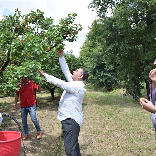 La nostra terra è uno scrigno di biodiversità e qualità che va tutelata e valorizzata /foto gallery